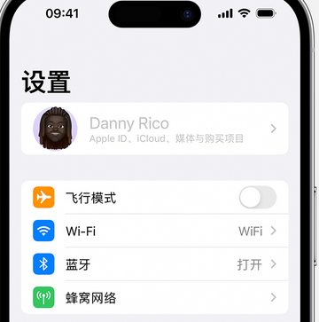 七叉镇appleID维修服务iPhone设置中Apple ID显示为灰色无法使用