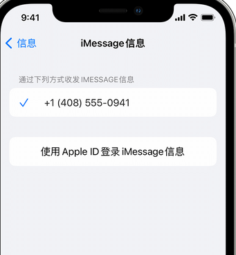 七叉镇apple维修iPhone上无法正常发送iMessage信息 