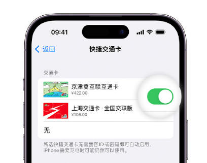 七叉镇apple维修点分享iPhone上更换Apple Pay快捷交通卡手绘卡面 