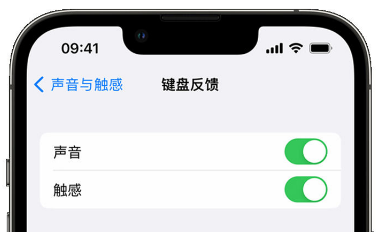 七叉镇苹果手机维修分享iPhone 14触感键盘使用方法 