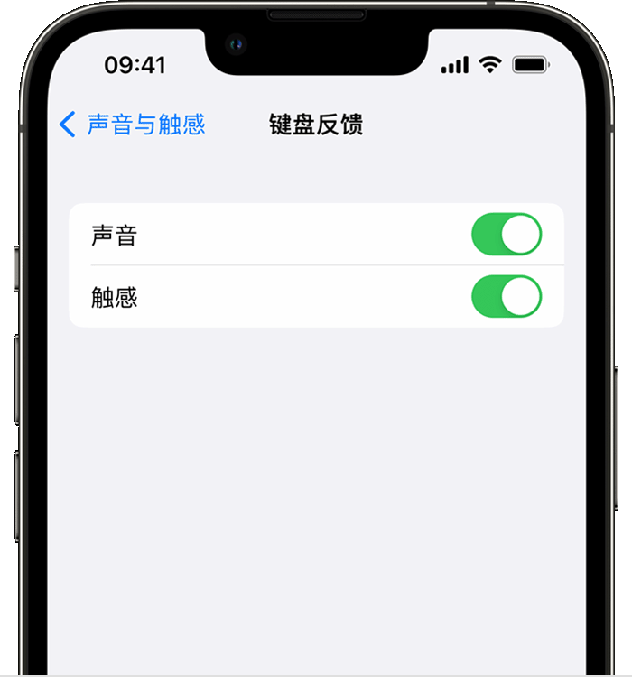 七叉镇苹果14维修店分享如何在 iPhone 14 机型中使用触感键盘 