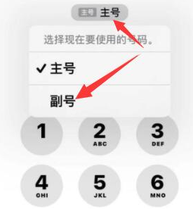 七叉镇苹果14维修店分享iPhone 14 Pro Max使用副卡打电话的方法 