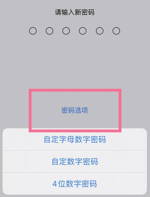 七叉镇苹果14维修分享iPhone 14plus设置密码的方法 