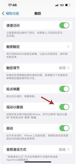 七叉镇苹果手机维修分享iPhone手机如何设置摇一摇删除文字 